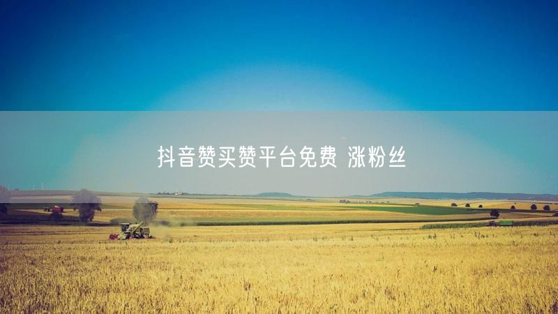 抖音赞买赞平台免费 涨粉丝