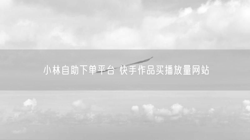 小林自助下单平台 快手作品买播放量网站