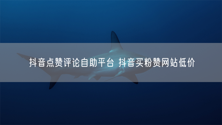 抖音点赞评论自助平台 抖音买粉赞网站低价