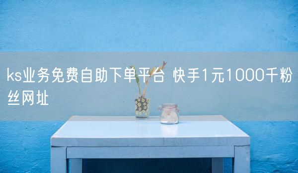 ks业务免费自助下单平台 快手1元1000千粉丝网址