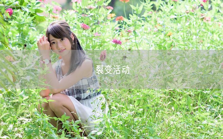 裂变活动