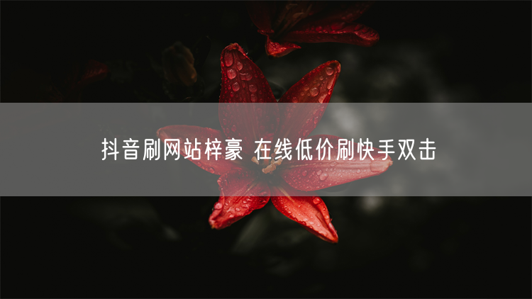 抖音刷网站梓豪 在线低价刷快手双击