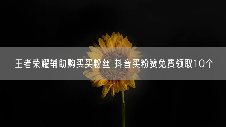 王者荣耀辅助购买买粉丝 抖音买粉赞免费领取10个