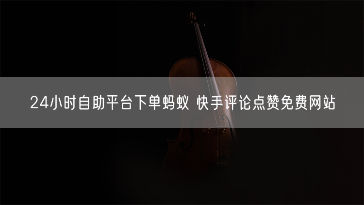 24小时自助平台下单蚂蚁 快手评论点赞免费网站