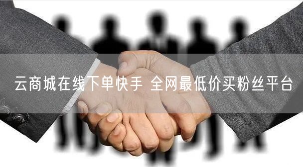 云商城在线下单快手 全网最低价买粉丝平台