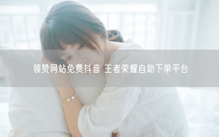 领赞网站免费抖音 王者荣耀自助下单平台