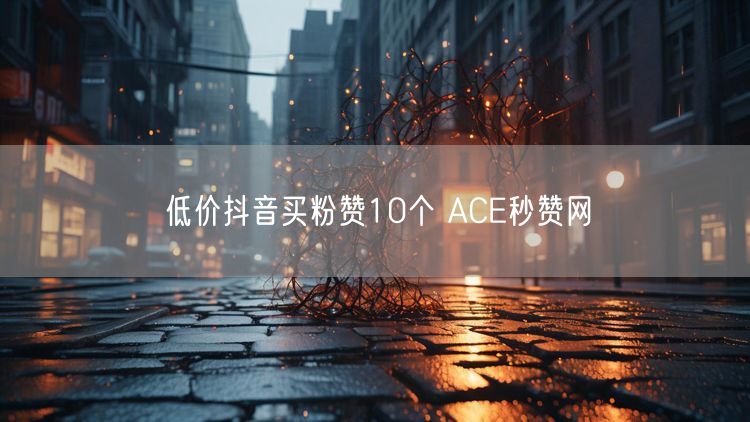 低价抖音买粉赞10个 ACE秒赞网