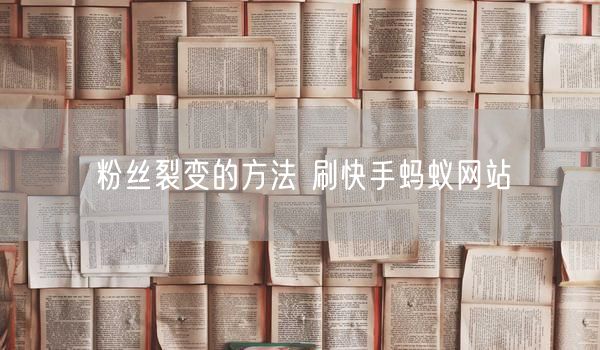 粉丝裂变的方法 刷快手蚂蚁网站