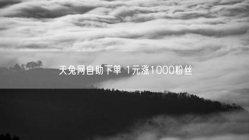 天兔网自助下单 1元涨1000粉丝