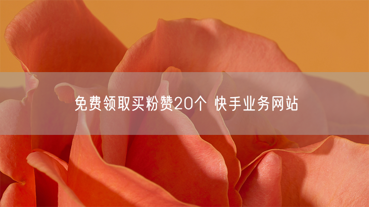 免费领取买粉赞20个 快手业务网站