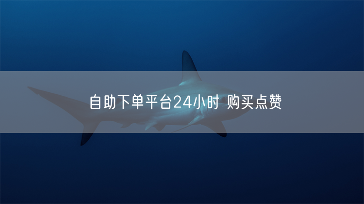 自助下单平台24小时 购买点赞