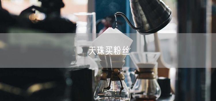 天珠买粉丝