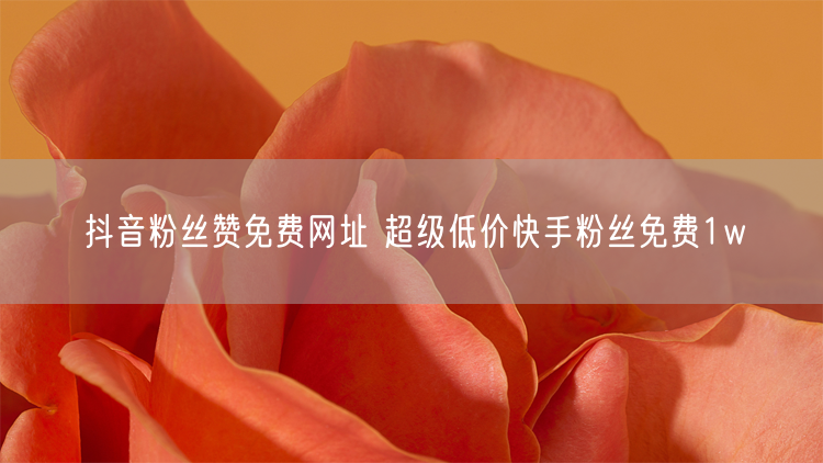 抖音粉丝赞免费网址 超级低价快手粉丝免费1w
