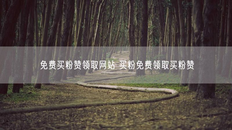 免费买粉赞领取网站 买粉免费领取买粉赞