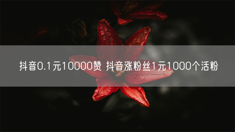 抖音0.1元10000赞 抖音涨粉丝1元1000个活粉