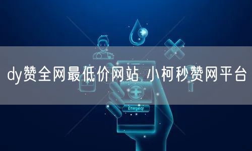 dy赞全网最低价网站 小柯秒赞网平台