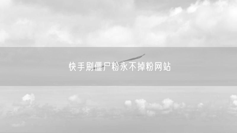快手刷僵尸粉永不掉粉网站