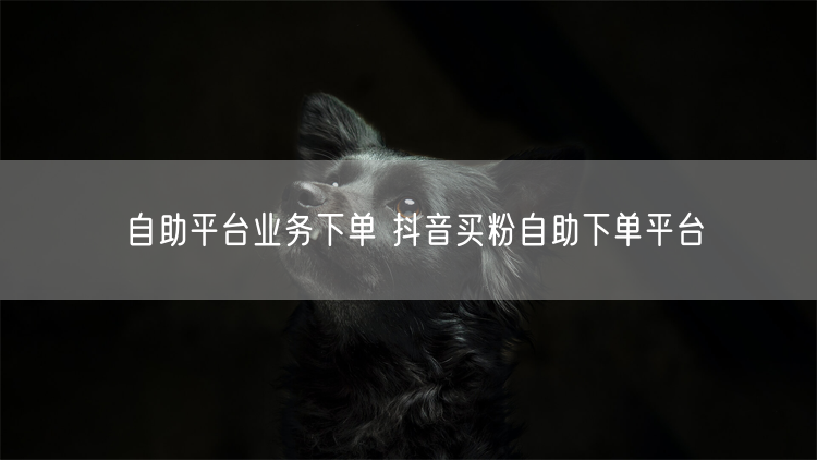 自助平台业务下单 抖音买粉自助下单平台