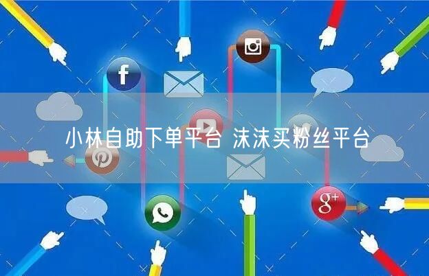 小林自助下单平台 沫沫买粉丝平台