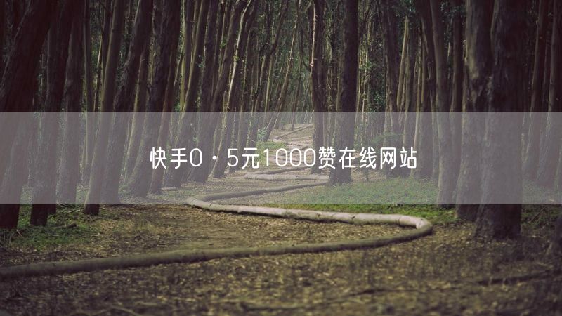 快手0·5元1000赞在线网站