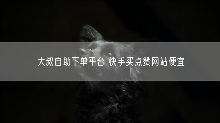 大叔自助下单平台 快手买点赞网站便宜