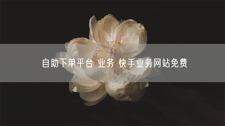 自助下单平台 业务 快手业务网站免费