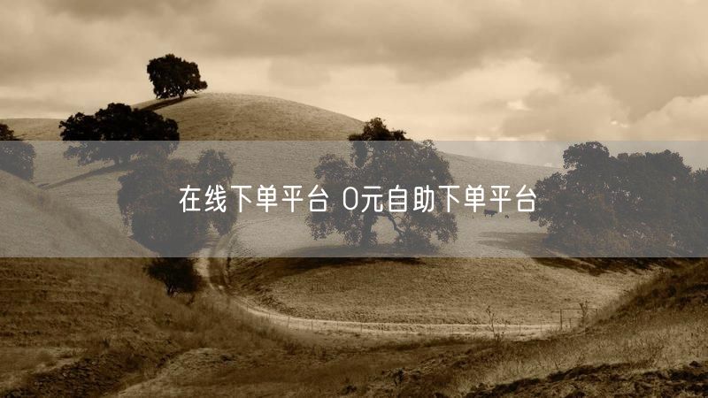 在线下单平台 0元自助下单平台