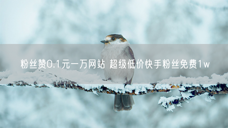 粉丝赞0.1元一万网站 超级低价快手粉丝免费1w