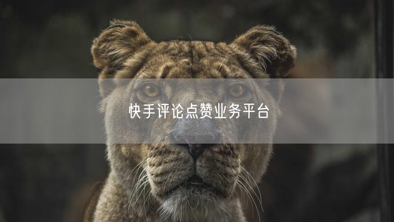 快手评论点赞业务平台