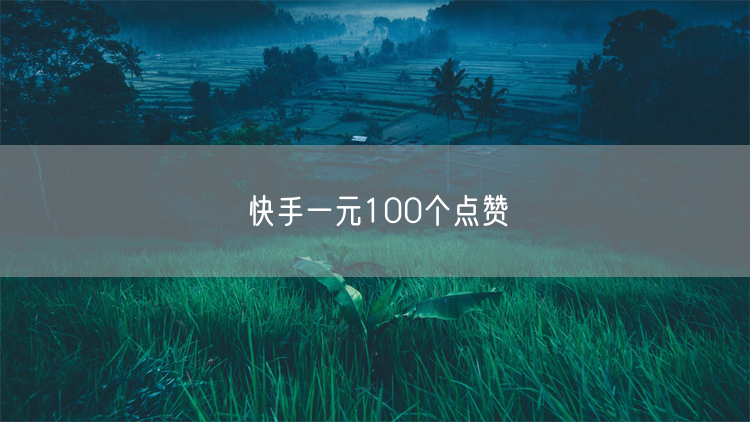 快手一元100个点赞