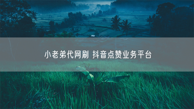 小老弟代网刷 抖音点赞业务平台